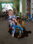 One year old riding toddler rocking horse natural poplar and walnut