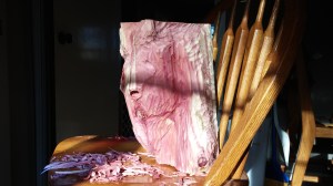 beginning cedar horse head carving