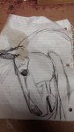 drawing for cedar stump horse head carving