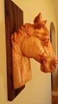 carved horse head from honduran cedar wood finished with oil and beeswax made to be wall mounted