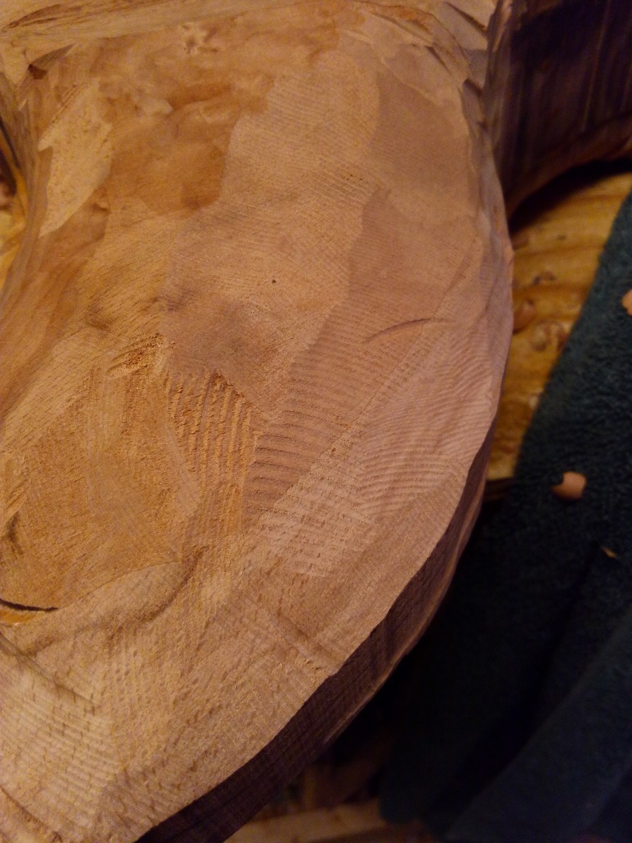 wood carved neck, rough carving complete in beech wood, showing blade marks